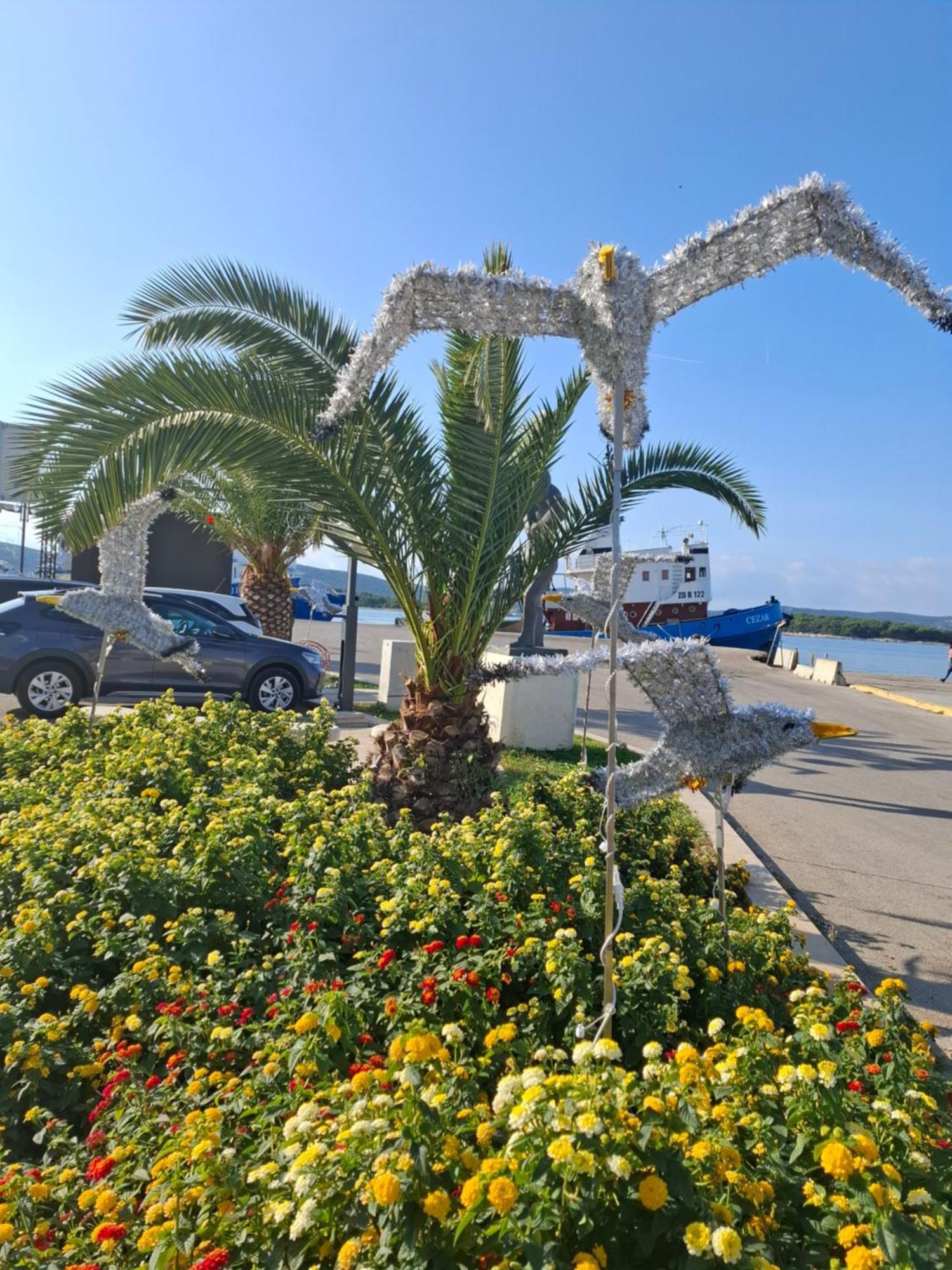 Apartmani Orhideja Gornji Karin Bagian luar foto